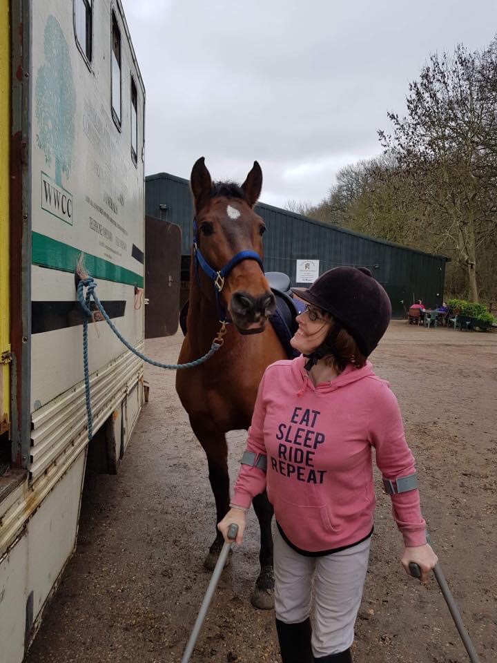 Enter in Working&nbsp;Trot